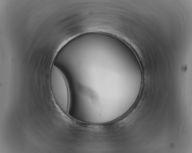 X0000091451529200708161036