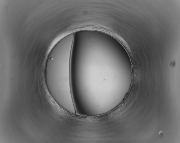 X0000091451530200708161036