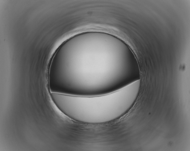 X0000091451531200708161036