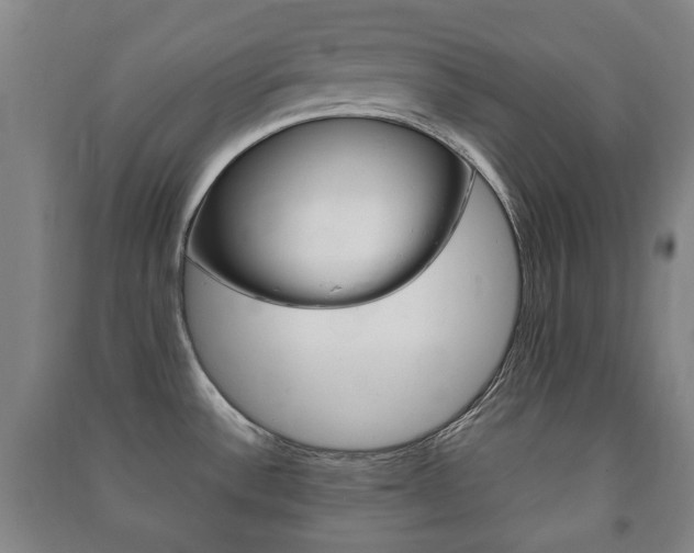 X0000091451532200708161036