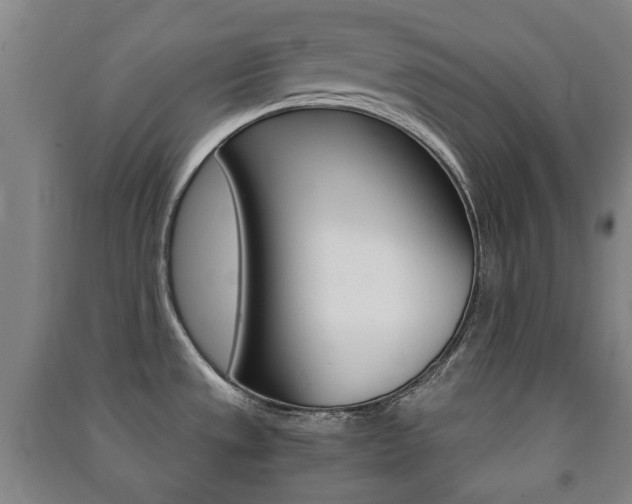 X0000091451533200708161036