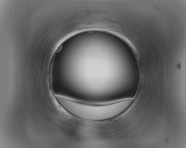 X0000091451534200708161036