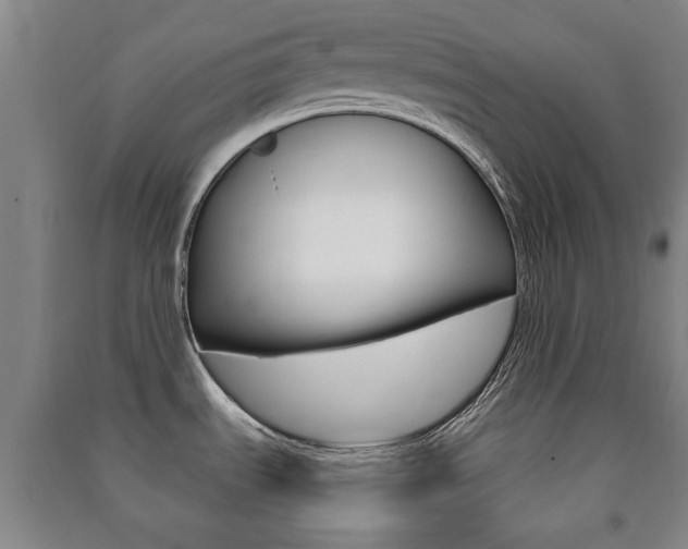 X0000091451535200708161036