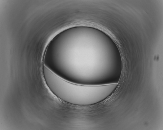 X0000091451536200708161037