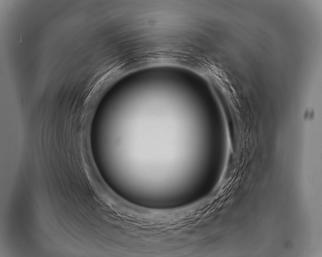 X0000091450001200708161307