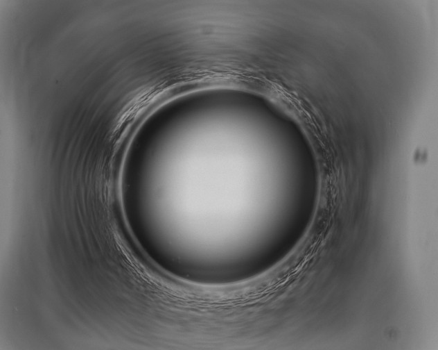 X0000091450002200708161307
