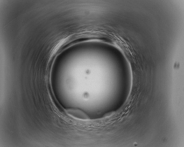 X0000091450003200708161307