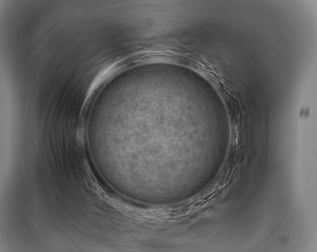 X0000091450004200708161307
