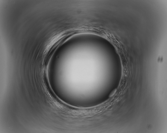 X0000091450005200708161307