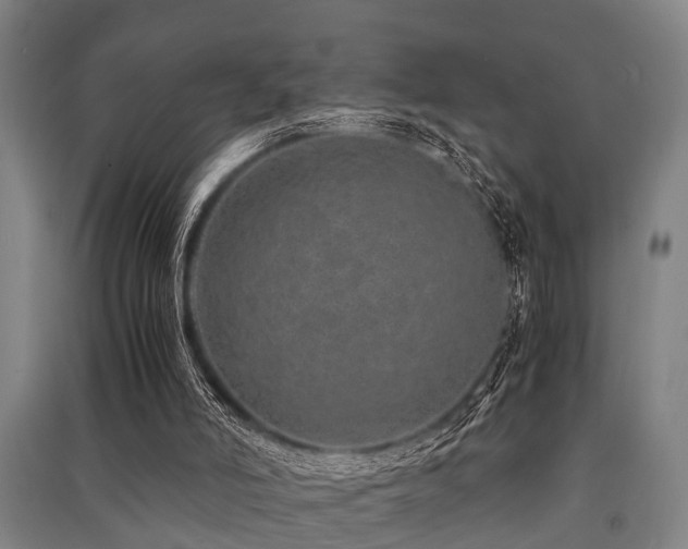 X0000091450006200708161307