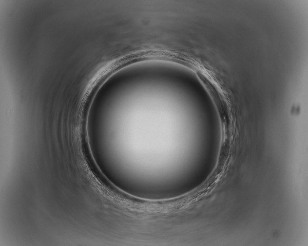 X0000091450007200708161307