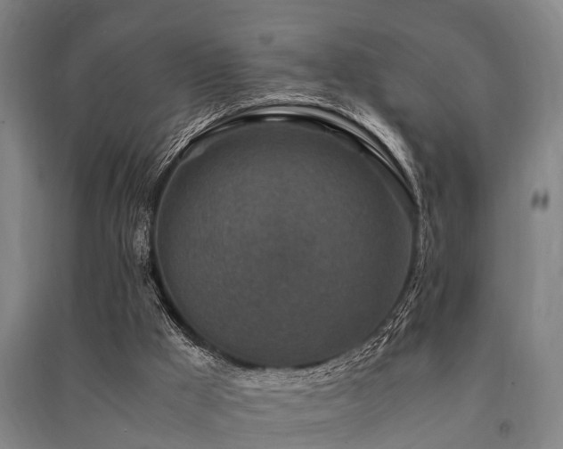 X0000091450009200708161307