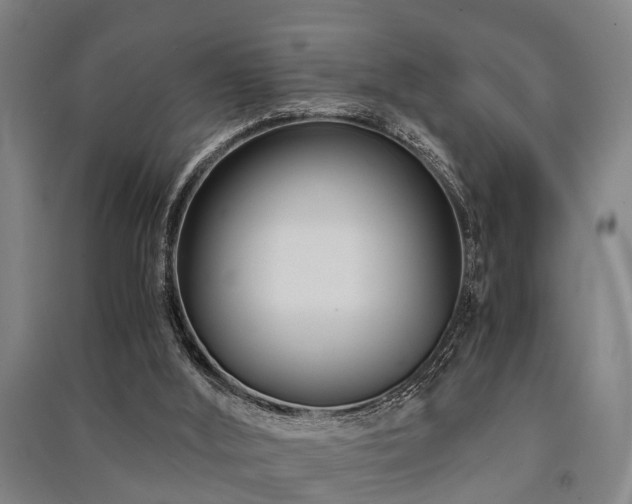 X0000091450012200708161307