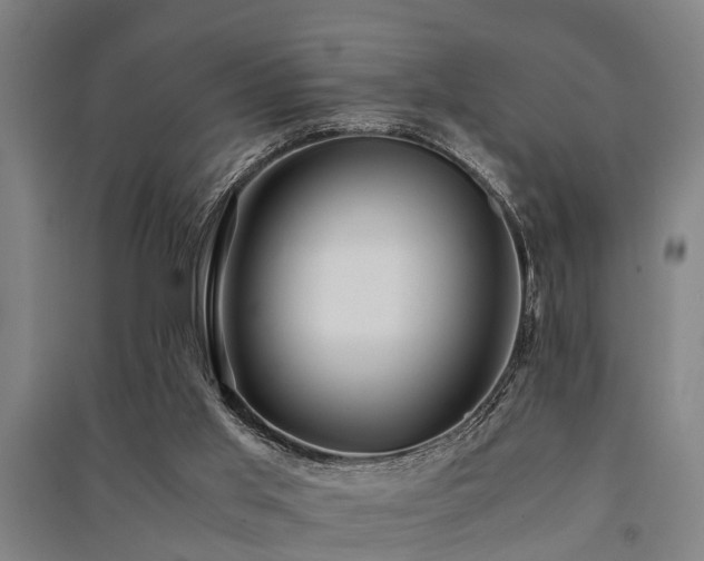 X0000091450013200708161307
