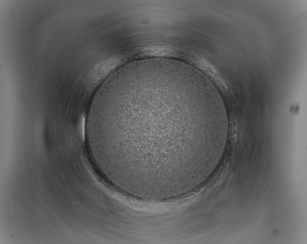 X0000091450014200708161307