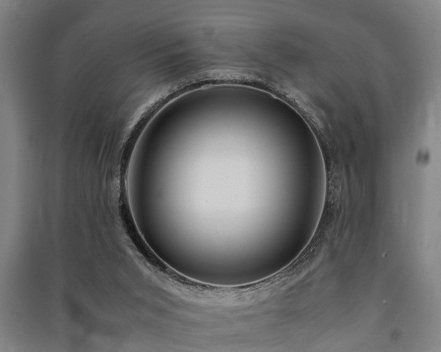 X0000091450015200708161307