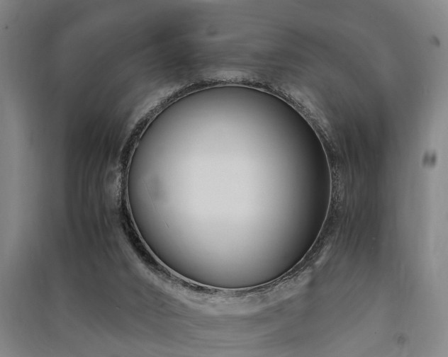 X0000091450016200708161307