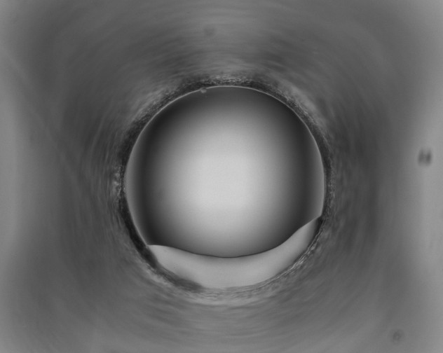 X0000091450017200708161307