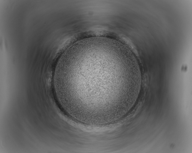 X0000091450018200708161307