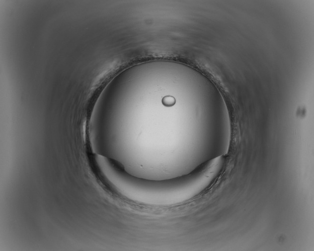 X0000091450019200708161307