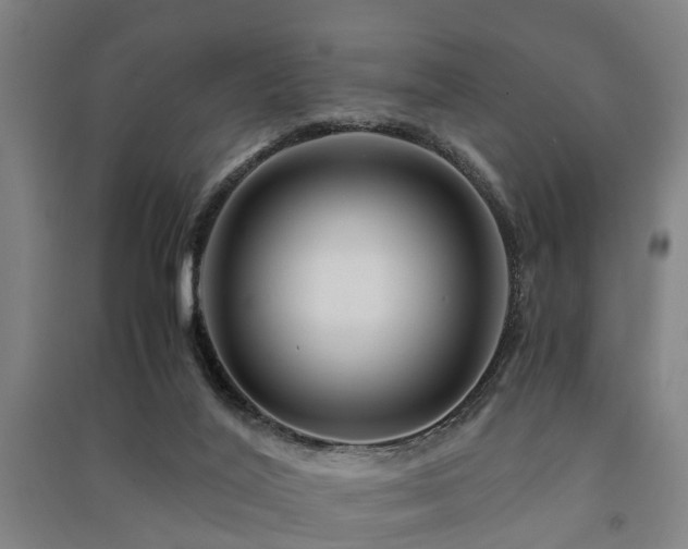 X0000091450020200708161307