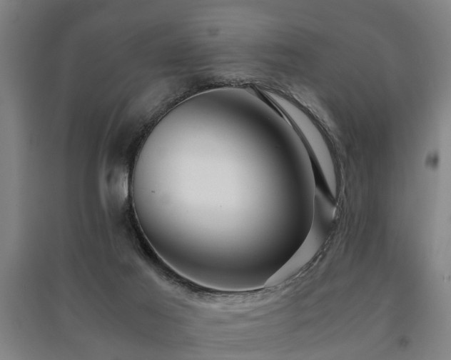 X0000091450021200708161307