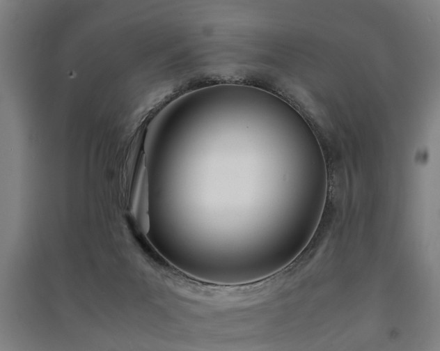 X0000091450023200708161307