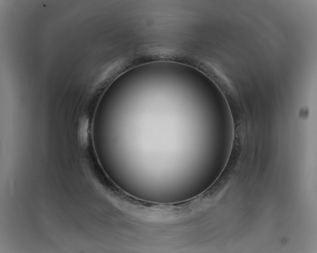 X0000091450024200708161307