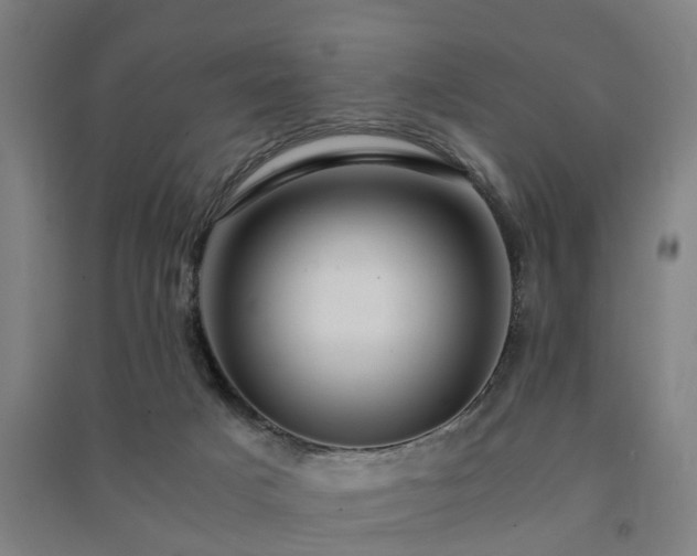 X0000091450025200708161307