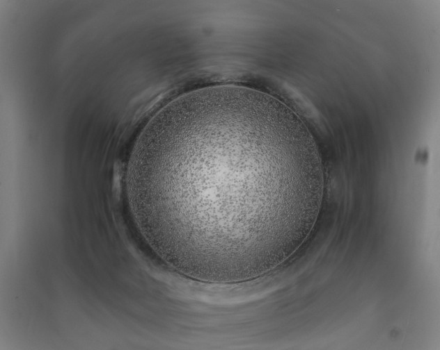 X0000091450026200708161307