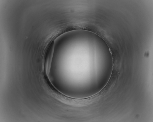 X0000091450027200708161307