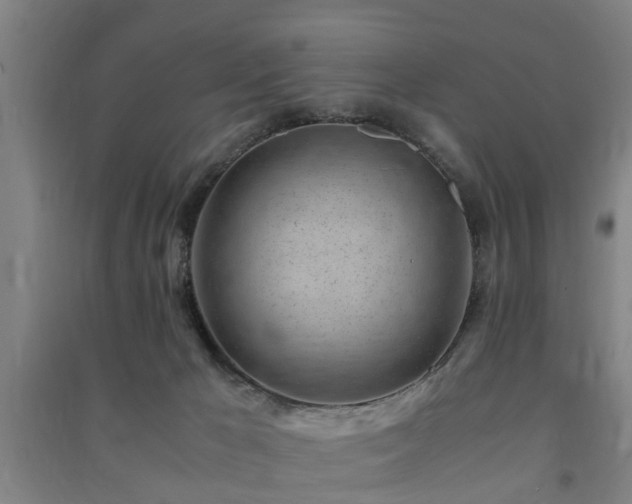 X0000091450029200708161307