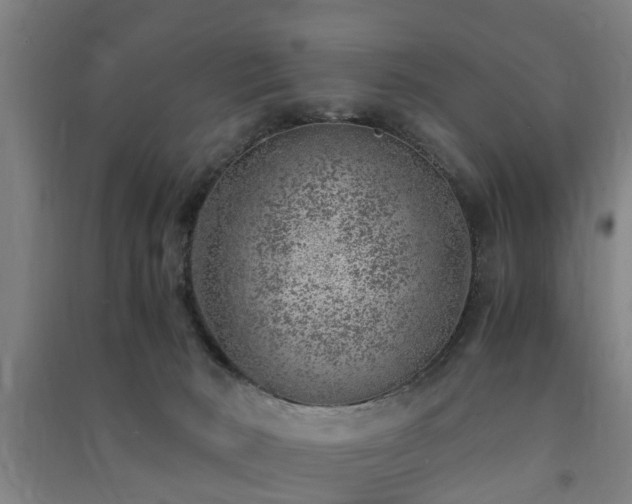 X0000091450030200708161307