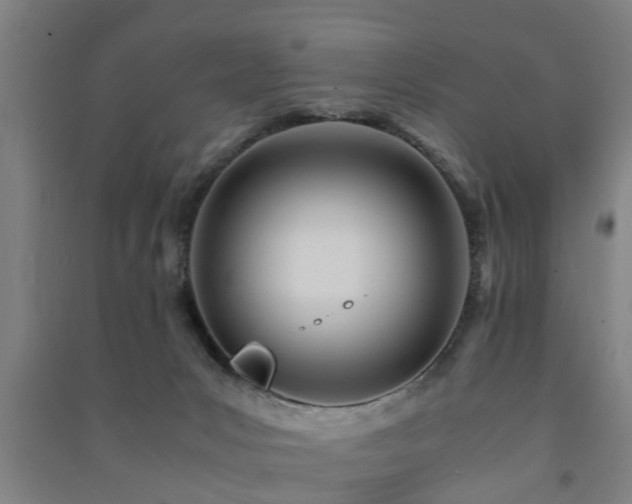 X0000091450031200708161307