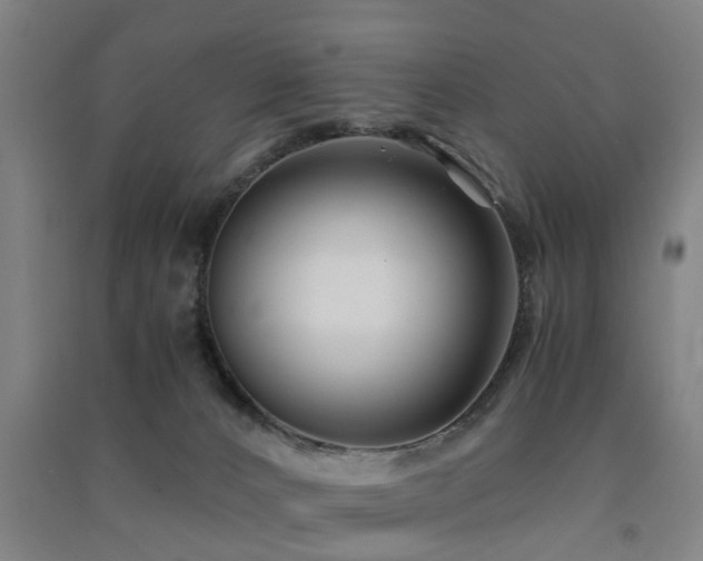 X0000091450032200708161307