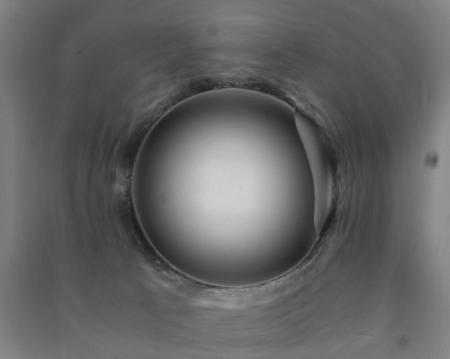 X0000091450033200708161307