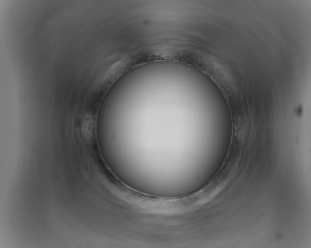 X0000091450036200708161307