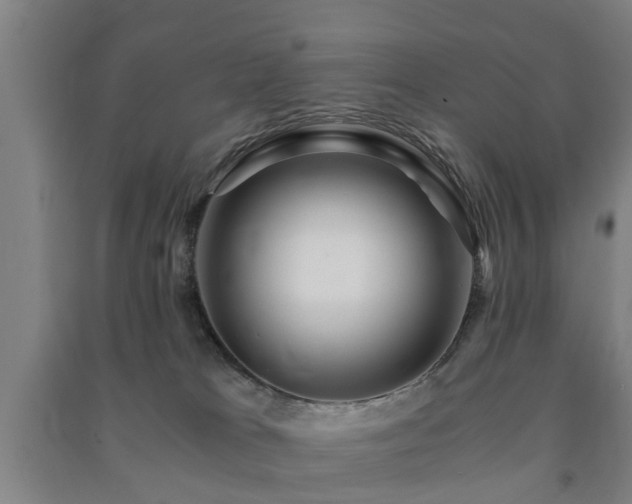 X0000091450037200708161307