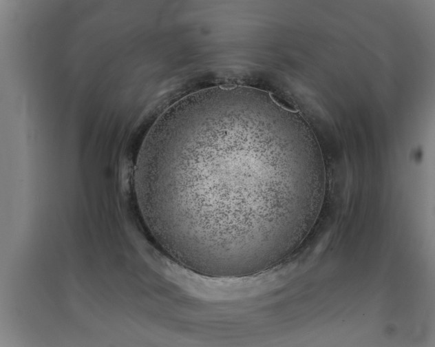 X0000091450038200708161307