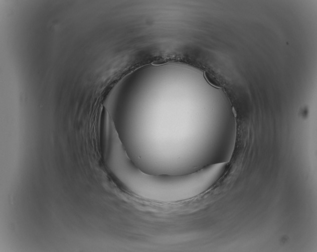 X0000091450039200708161307