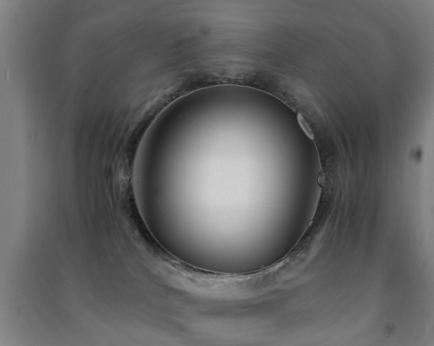 X0000091450040200708161307