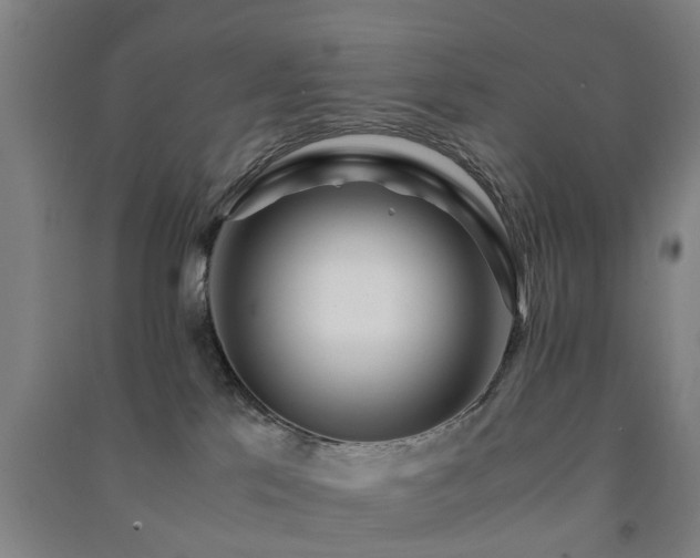 X0000091450041200708161307