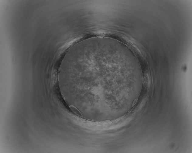 X0000091450043200708161307