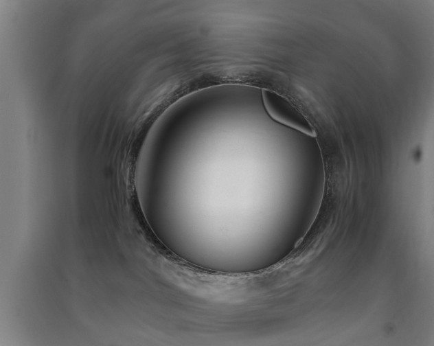 X0000091450044200708161307