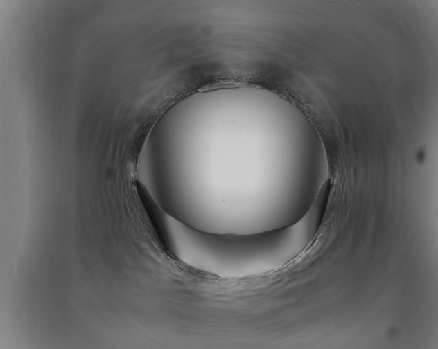 X0000091450045200708161307
