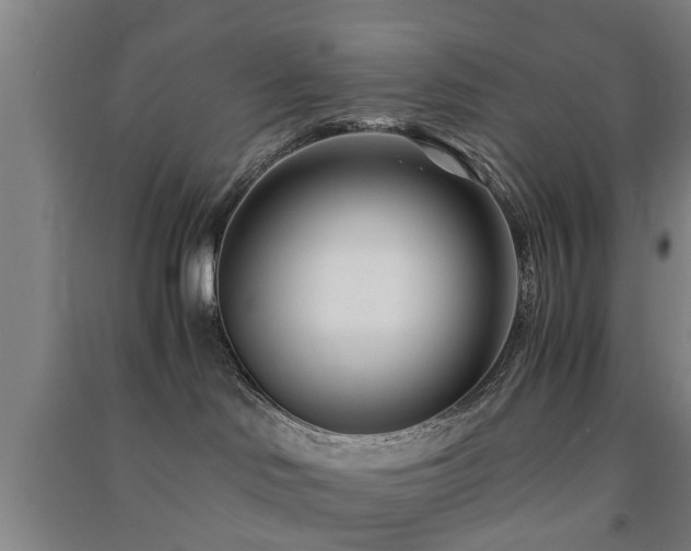 X0000091450046200708161307