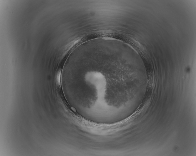 X0000091450047200708161307