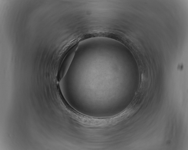 X0000091450048200708161307