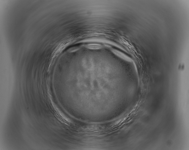 X0000091450049200708161306