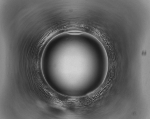 X0000091450050200708161306